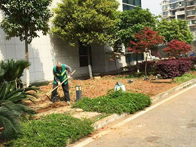 小區(qū)補(bǔ)栽補(bǔ)種