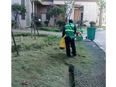 園林養護案例