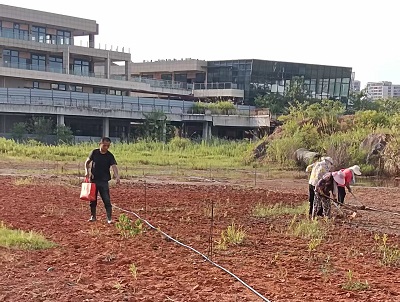 岳麓區湘江歡樂城