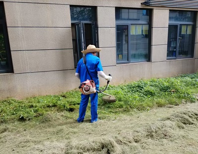 長沙市亮宇園林綠化工程有限公司,長沙園林養護,長沙大樹移植,小型樹種及花草哪里的好